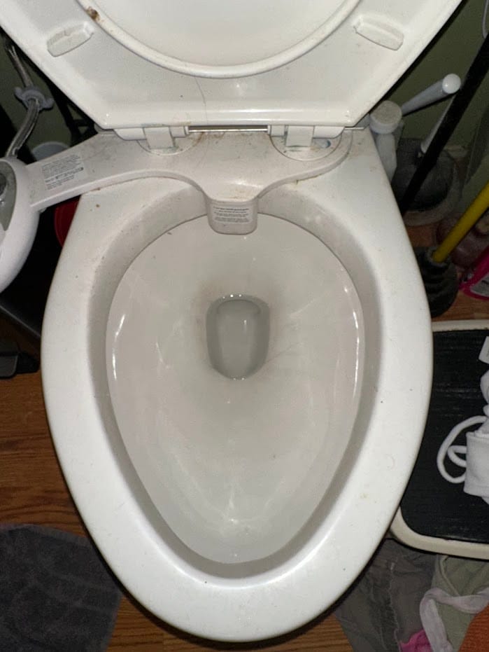 A toilet bowl before the clean.